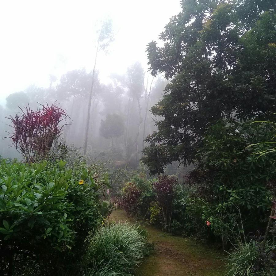 Hill Side Estate Apartman Madikeri Kültér fotó